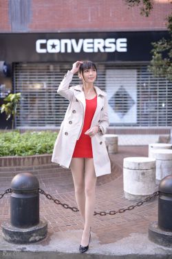 乡村野花香